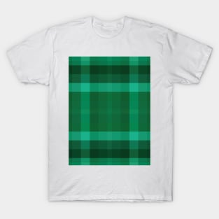 Hibernian Check T-Shirt